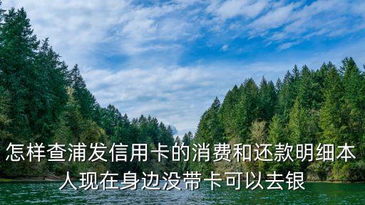 怎樣查浦發(fā)信用卡的消費(fèi)和還款明細(xì)本人現(xiàn)在身邊沒帶卡可以去銀