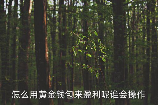 黃金錢包怎么賺黃金，怎么用黃金錢包通過投資黃金來賺錢