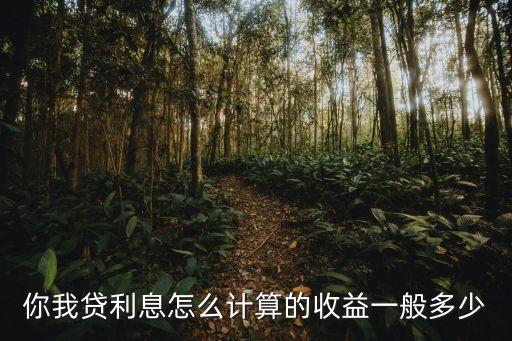 你我金融怎么算利息的，你我貸利息怎么計(jì)算的收益一般多少