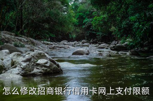 怎么修改招商銀行信用卡網(wǎng)上支付限額
