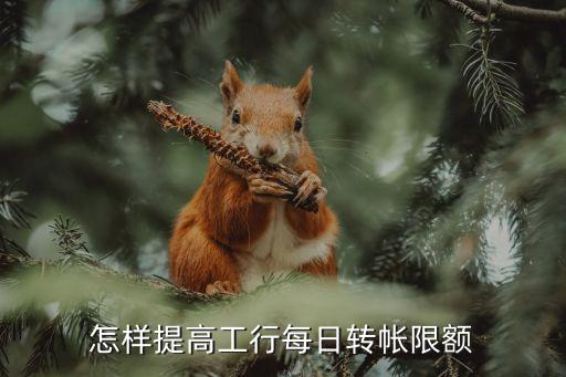 工行支付限額怎么上調(diào)，怎么提高工行單筆支付上限