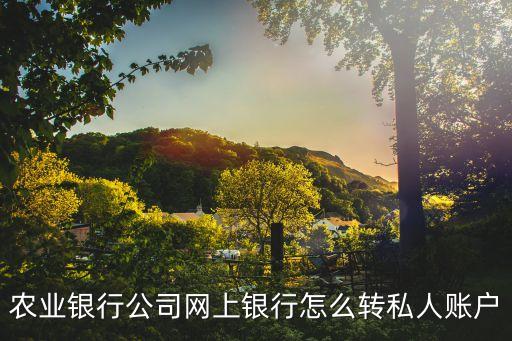 農(nóng)行轉(zhuǎn)賬賬戶怎么填寫，誰可以教我轉(zhuǎn)賬 95599在線銀行