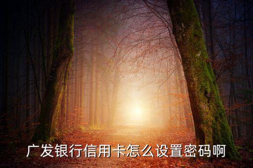 廣發(fā)登錄密碼怎么設(shè)置密碼，廣發(fā)銀行個(gè)人網(wǎng)上銀行登陸密碼從哪兒來(lái)我剛剛激活信用卡可是沒(méi)