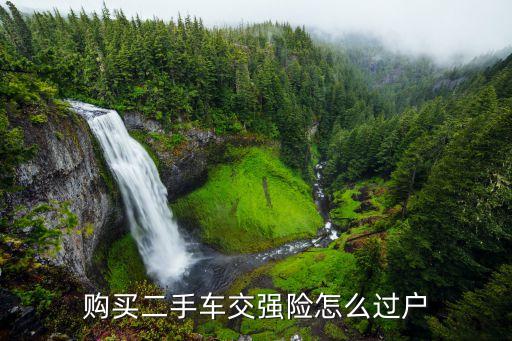 購(gòu)買二手車交強(qiáng)險(xiǎn)怎么過戶