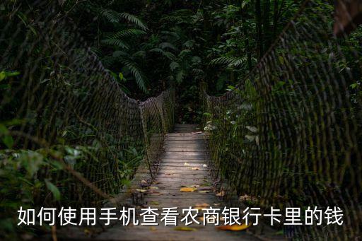 怎么查看農(nóng)商銀行余額，如何使用手機(jī)查看農(nóng)商銀行卡里的錢