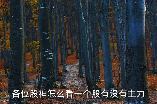 各位股神怎么看一個(gè)股有沒有主力
