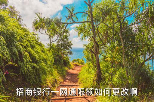 招商銀行一網(wǎng)通限額如何更改啊
