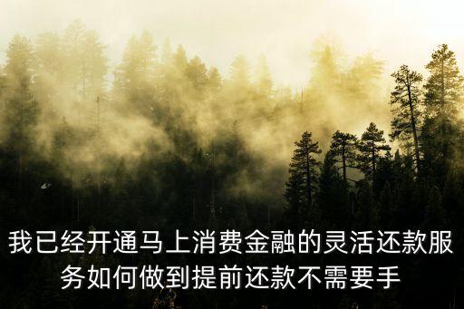 我已經(jīng)開(kāi)通馬上消費(fèi)金融的靈活還款服務(wù)如何做到提前還款不需要手