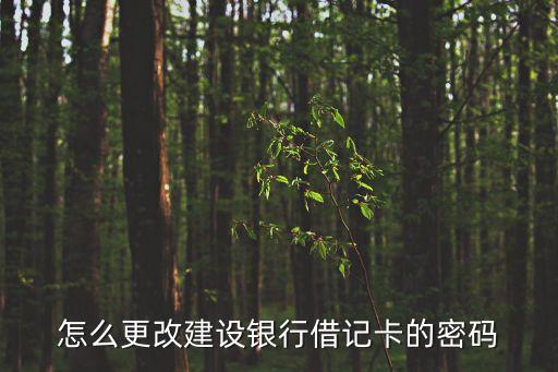 怎么修改建行卡密碼怎么修改，怎么更改建設(shè)銀行借記卡的密碼