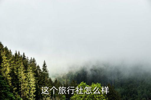 這個(gè)旅行社怎么樣