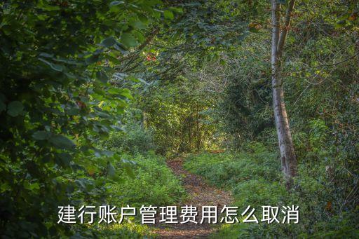 建行管理費怎么取消嗎，建行賬戶管理費用怎么取消