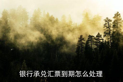 銀行承兌匯票到期怎么處理