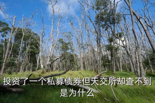 投資了一個(gè)私募債券但天交所卻查不到是為什么