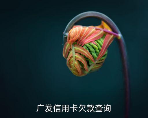 廣發(fā)信用卡欠款查詢