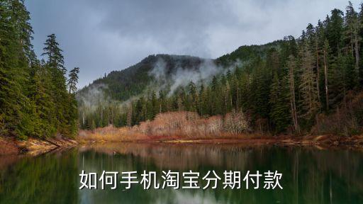 手機(jī)怎么找天貓分期購(gòu)，手機(jī)上天貓?jiān)趺捶制诟犊?/></a></span><span id=