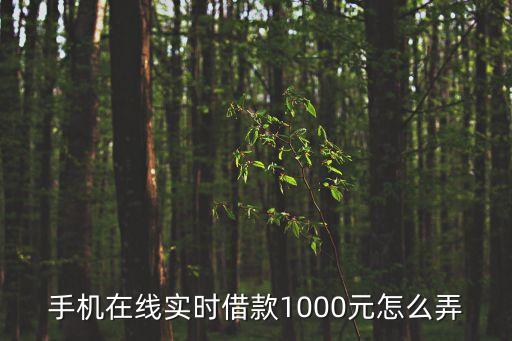 手機(jī)在線(xiàn)實(shí)時(shí)借款1000元怎么弄