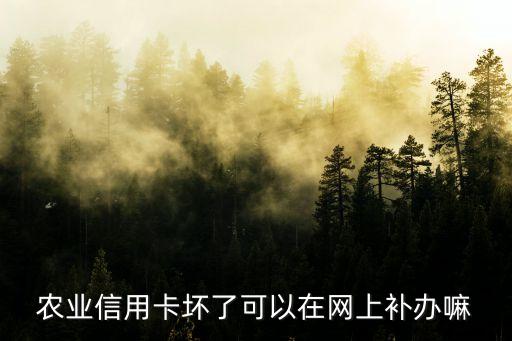 網(wǎng)上怎么補(bǔ)辦信用卡，信用卡丟了也已經(jīng)掛失了能不能在網(wǎng)上補(bǔ)辦