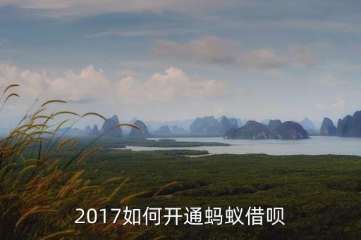 2017怎么開通借唄，2017年的支付寶怎么開通芝麻借唄