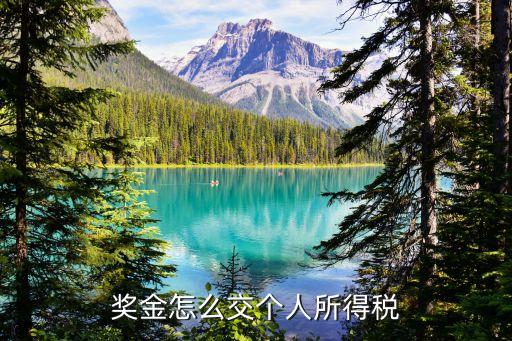 獎金怎么交個人所得稅