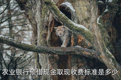 農(nóng)行預借現(xiàn)金提現(xiàn)利息怎么算，農(nóng)業(yè)銀行預借現(xiàn)金取現(xiàn)收費標準是多少