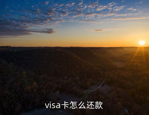 visa卡怎么還款