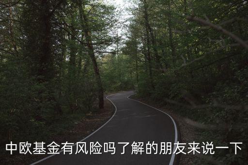 中歐基金有風(fēng)險嗎了解的朋友來說一下