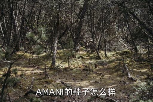 AMANI的鞋子怎么樣