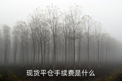 現(xiàn)貨平倉手續(xù)費是什么