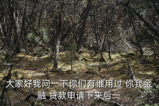 你我金融怎么算利息，大家好我問(wèn)一下你們有誰(shuí)用過(guò) 你我金融 貸款申請(qǐng)下來(lái)后一