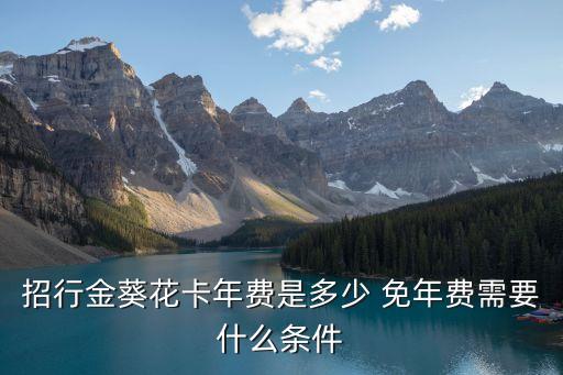 招行金葵花卡年費(fèi)是多少 免年費(fèi)需要什么條件