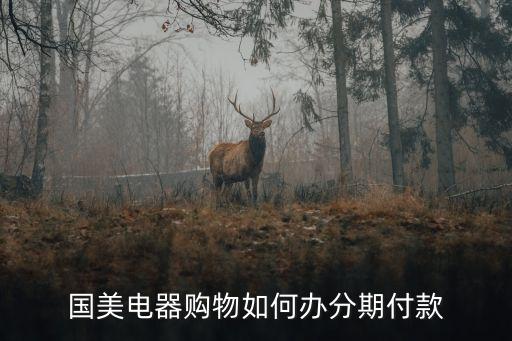 國美電器怎么分期付款，哪位高人知道國美電器的分期付款是怎樣進行的