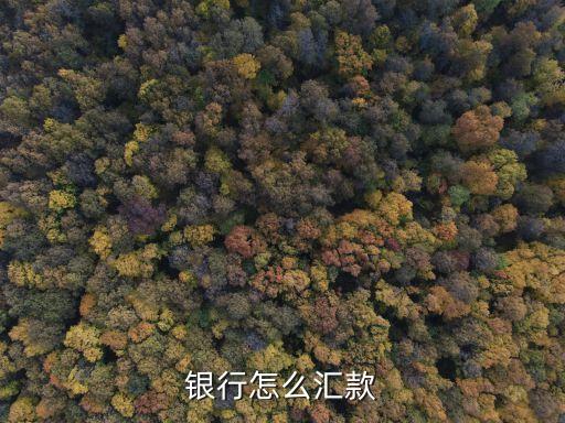銀行怎么匯款