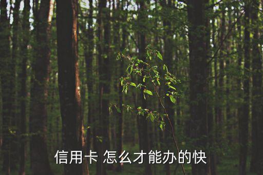 信用卡 怎么才能辦的快
