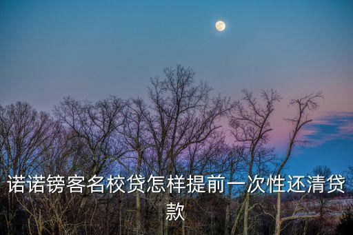 諾諾鎊客名校貸怎樣提前一次性還清貸款