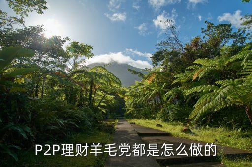 p2p怎么做黃牛流程，我想當黃牛怎么當黃牛