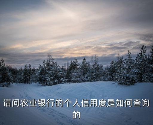 請(qǐng)問農(nóng)業(yè)銀行的個(gè)人信用度是如何查詢的