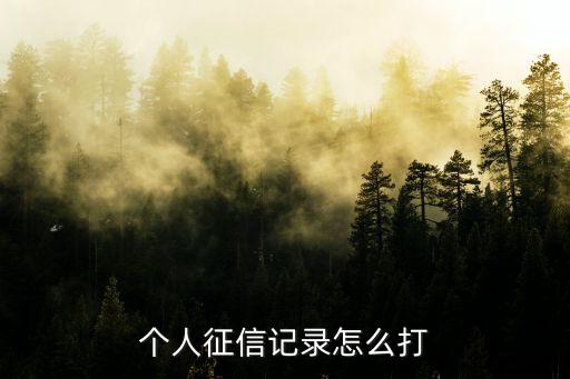 個(gè)人征信記錄怎么打