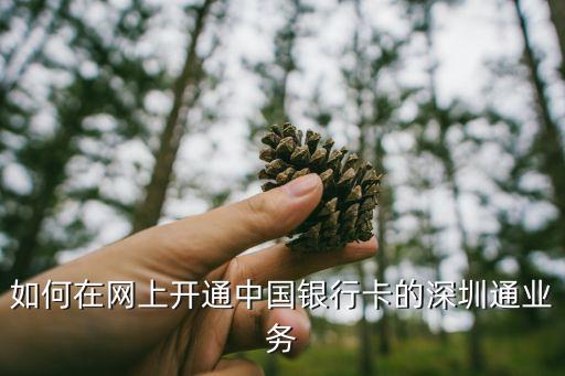 如何在網(wǎng)上開(kāi)通中國(guó)銀行卡的深圳通業(yè)務(wù)