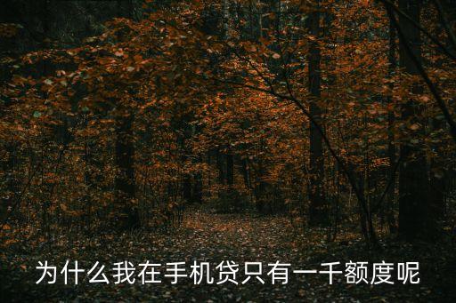 為什么我在手機(jī)貸只有一千額度呢