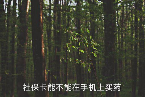 社?？懿荒茉谑謾C上買藥
