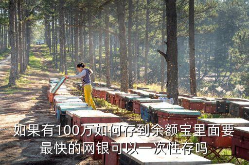 如果有100萬如何存到余額寶里面要最快的網(wǎng)銀可以一次性存嗎