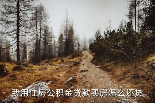 公積金貸款買房怎么還款嗎，公積金貸款買房后還款方式有哪些