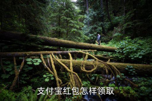 小浦支付紅包怎么拿，這個紅包怎么領(lǐng)