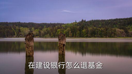 在建設銀行怎么退基金