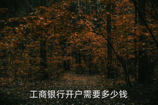 工商銀行開戶需要多少錢