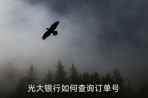 光大銀行怎么查單號(hào)，光大銀行信用卡快遞單號(hào)查詢(xún)