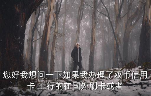 您好我想問一下如果我辦理了雙幣信用卡 工行的在國外刷卡或者