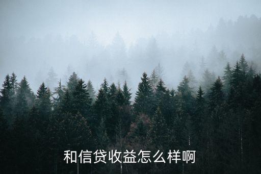 和信利息怎么樣，和信貸的收益怎么樣和信貸安全嗎