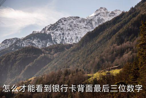 怎么才能看到銀行卡背面最后三位數(shù)字