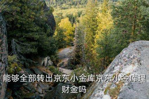 京東理財怎么轉讓，哪里能轉出京東小金庫理財金